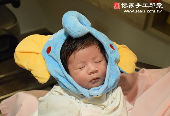 邱寶寶(新北板橋區到府嬰兒寶寶滿月剃頭理髮、免費到府嬰兒剃胎毛儀式吉祥話)。到府剃頭剃胎毛主持、專業拍照、DVD光碟、證書。★購買「臍帶章、肚臍章、胎毛筆刷印章」贈送：剃頭、收涎、抓周，三選一。2015.10.26 照片12